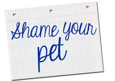 Shame Your Pet
